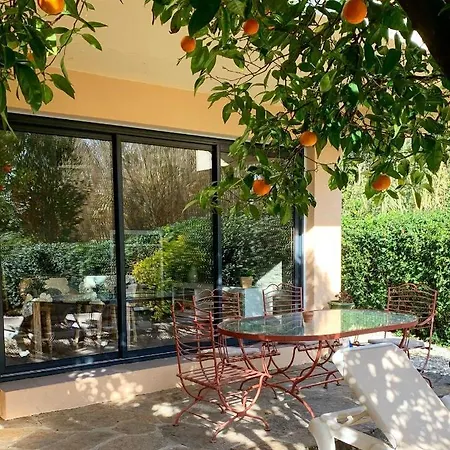 Les Sarments Daire Le Lavandou